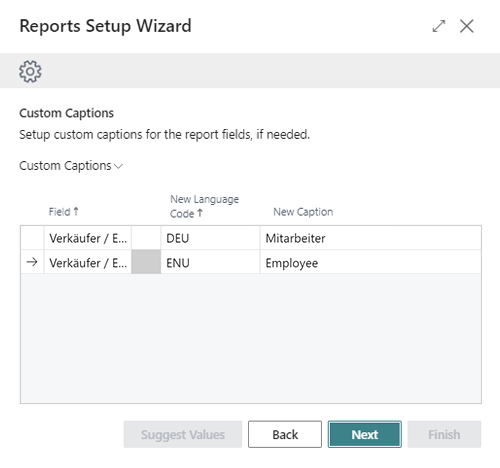 beyond-reports-wizard-step-4-customized-captions