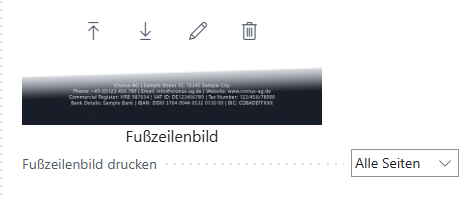available-options-for-footer-image
