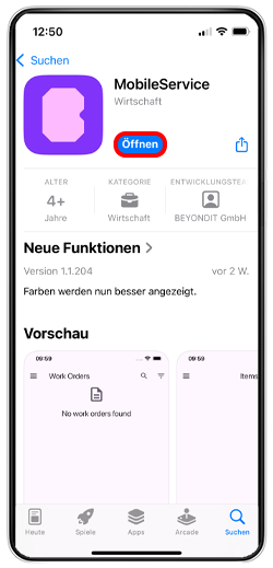 ios-06-beyond-mobile-service-install