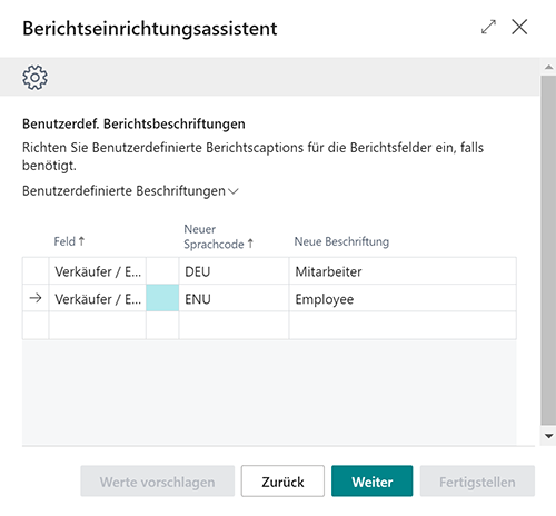 beyond-reports-wizard-step-4-customized-captions